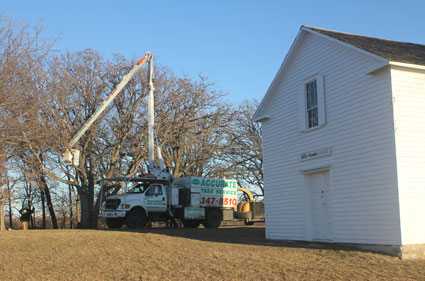 Tree Trimming